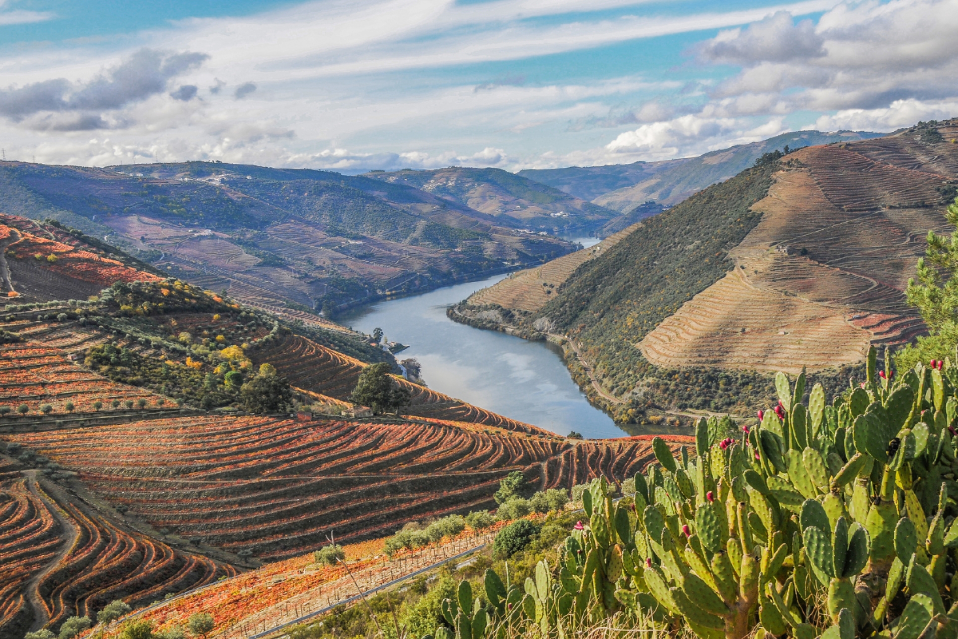 GRAN CRUCERO DO DOURO VINHATEIRO Y OPORTO