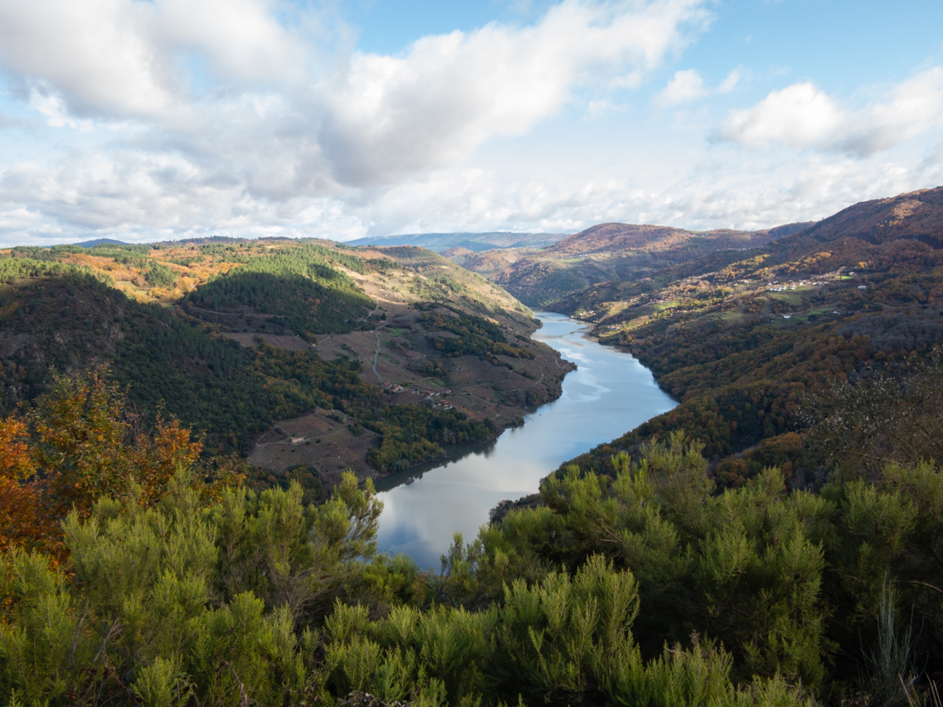 RIBEIRA SACRA