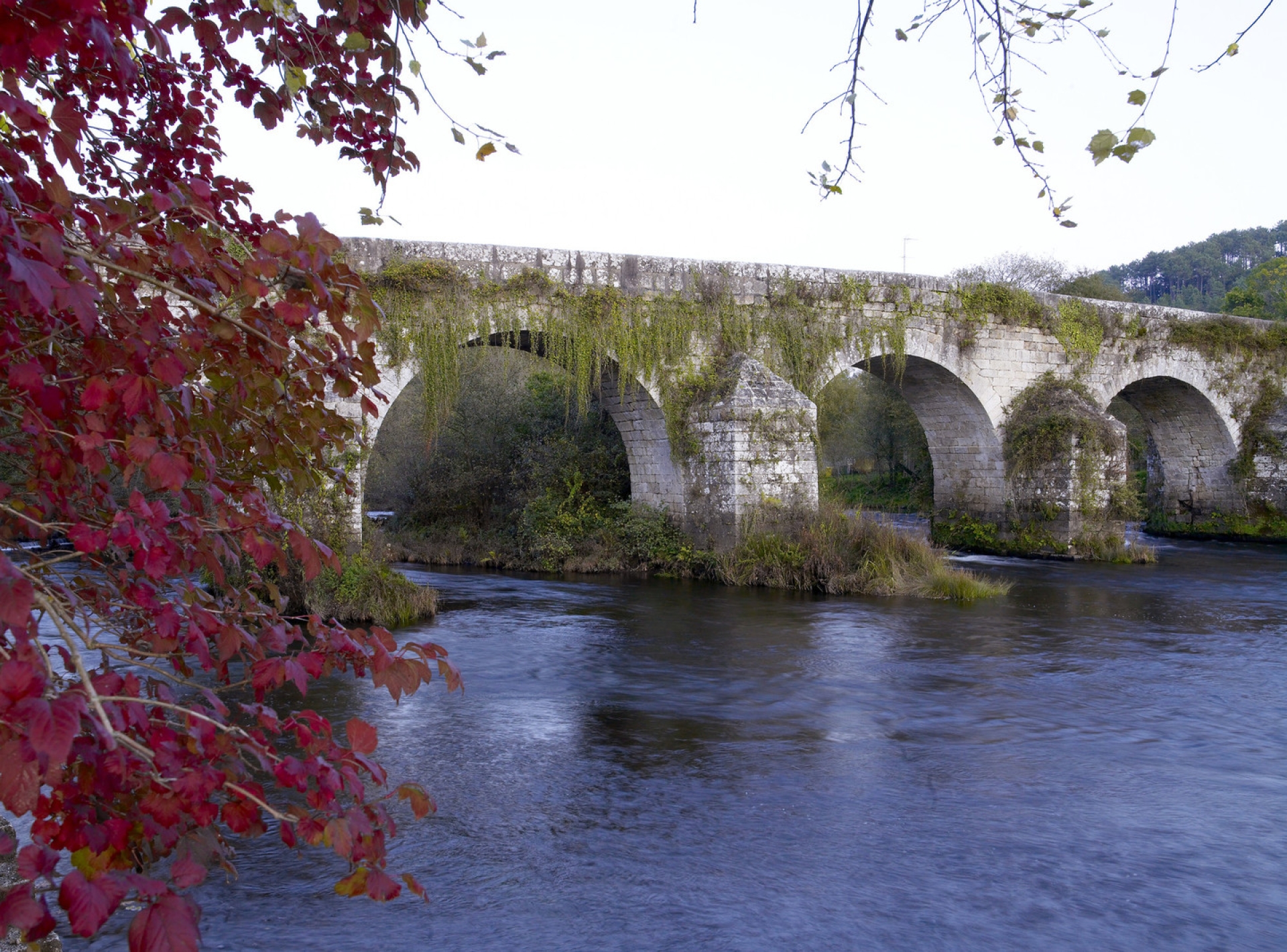 FERIA GRANDE DE MELIDE, ISLA DE GRES Y PONTE LEDESMA