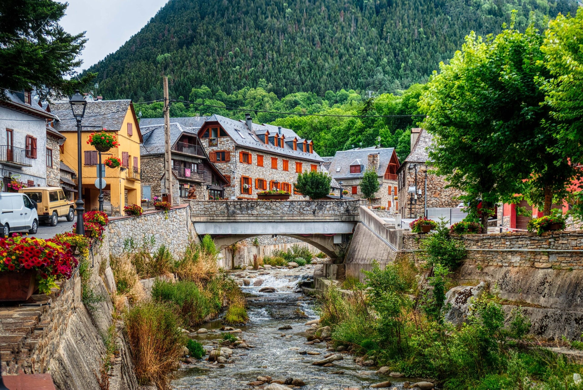 VALLE DE ARÁN Y LOURDES